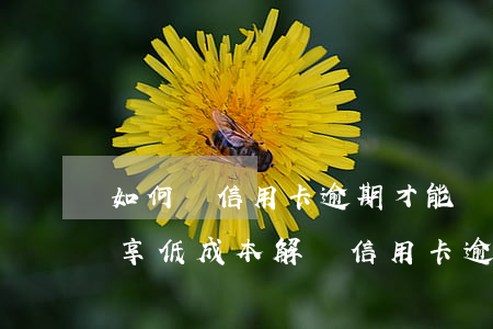如何談信用卡逾期才能減少利息？分享低成本解決信用卡逾期的方法